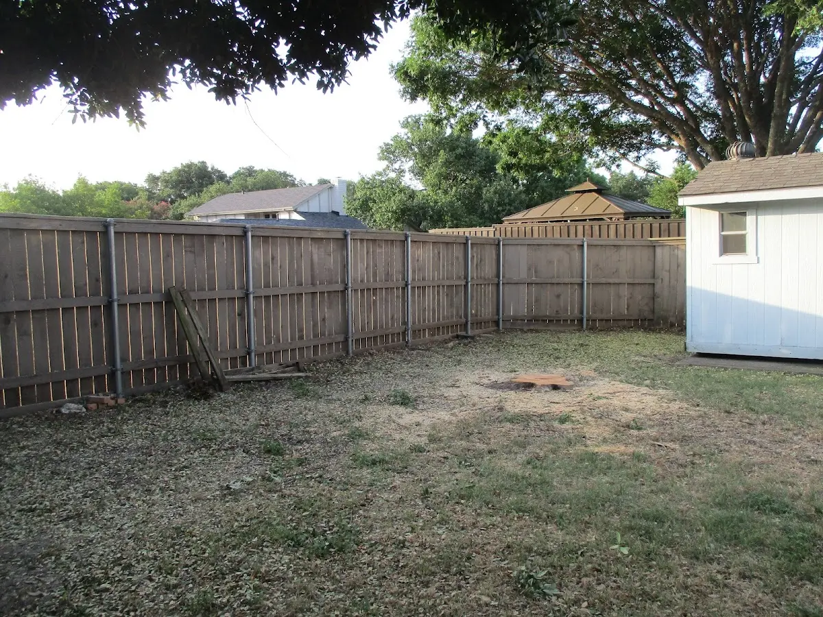 Cleared yard after professional tree removal in Gene Autry