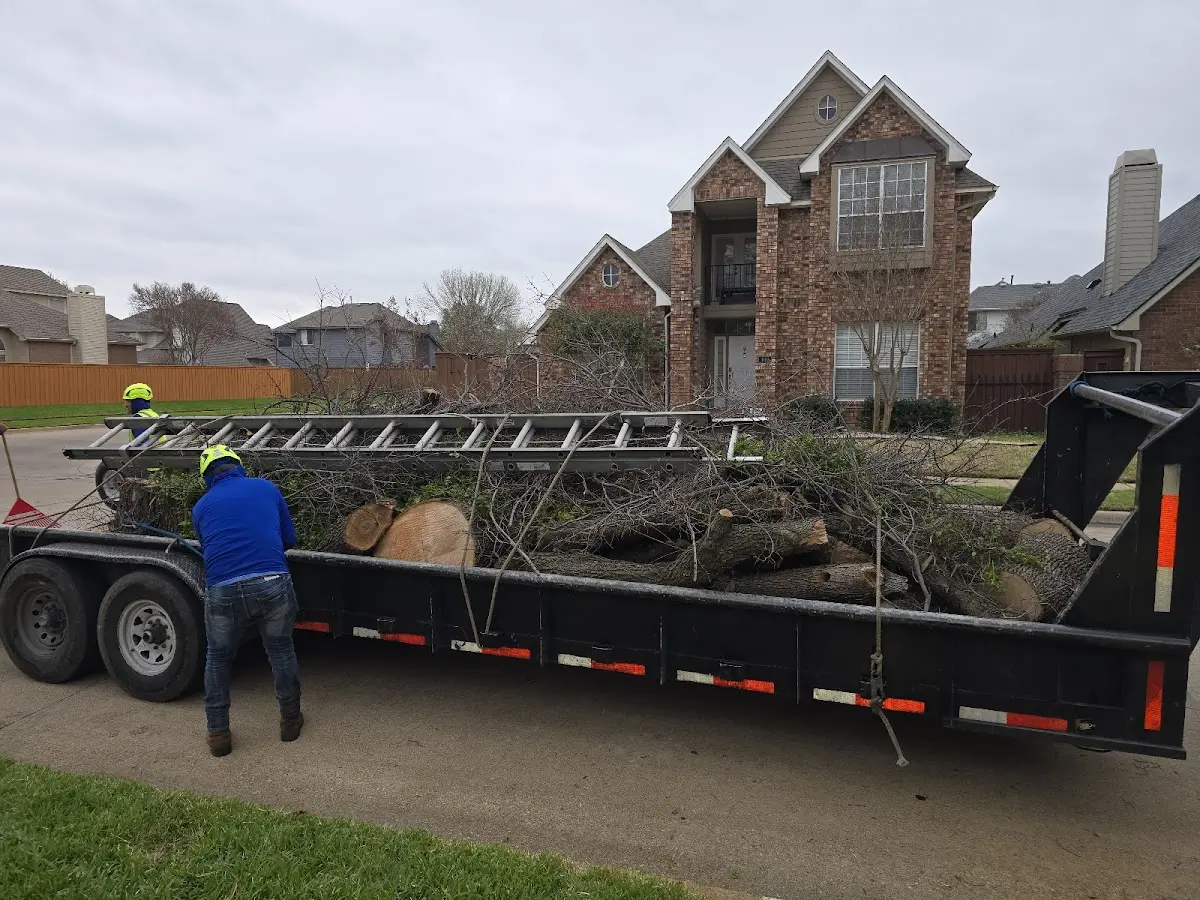 Expert Lot Clearing with proper safety equipment in Gene Autry
